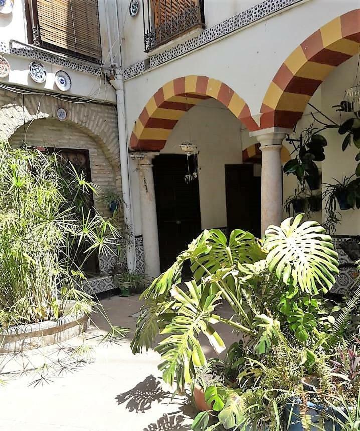 Ap Abderraman I Cordoba Apartment Exterior photo